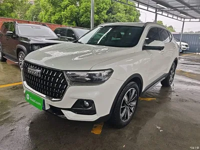 2023 Haval H6 National Trend Edition 1.5T Automatic Champion, фото 1, лот 10285615