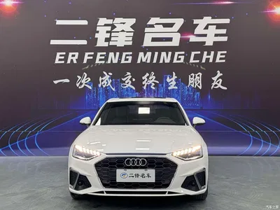 2020 Audi A4L 40 TFSI Luxury Dynamic, фото 2, лот 10239628