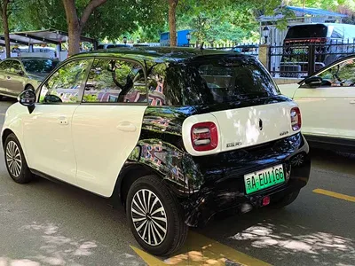 2019 Ora Black Cat Model 351km Smart Fun Edition, фото 3, лот 10330642