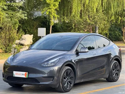2024 Tesla Model Y Rear-Wheel Drive Version, фото 1, лот 10404615