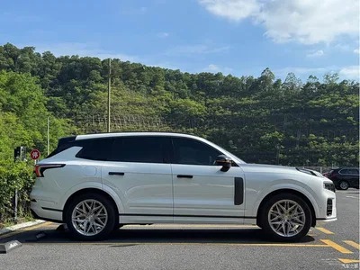 2021 Lynk & Co 09 EM-P 2.0T PHEV Halo 6-seater, фото 4, лот 10313938