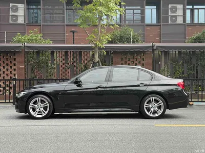 2018 BMW 3 Series 320Li Leading M Sport Package, фото 3, лот 11547699