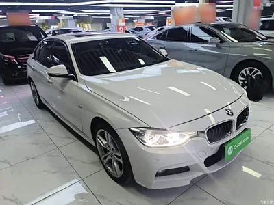 2018 BMW 3 Series 320Li Leading M Sport Package, фото 4, лот 11223054