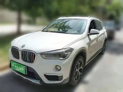 2016 BMW X1 sDrive20Li Luxury Model, фото 1, лот 10468317