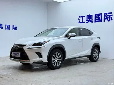 2018 Lexus NX Model 200 FWD Fengxing Edition China V, фото 1, лот 10407612