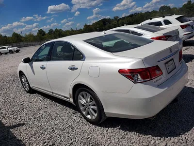 2010 LEXUS ES 350, фото 2, лот 10848947