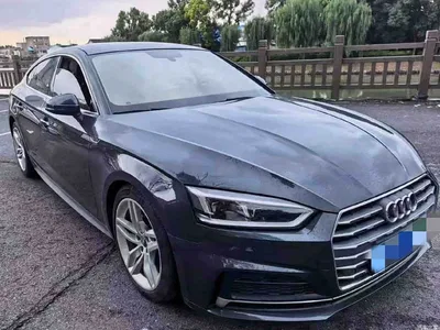 2017 Audi A5 (Import) Sportback 45 TFSI Fashion, фото 1, лот 11544289