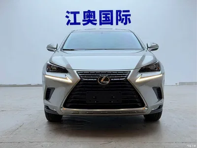 2018 Lexus NX Model 200 FWD Fengxing Edition China V, фото 2, лот 10440761