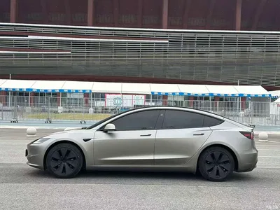 2023 Tesla Model 3 Rear-Wheel Drive, фото 2, лот 10405728