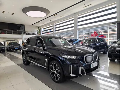 2023 BMW X5 xDrive 30Li Premium M Sport Package, фото 3, лот 10462803