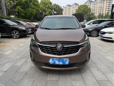 2020 Buick GL8 Model Land Business Class 652T Comfort, фото 2, лот 10256210
