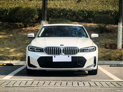 2024 BMW 3 Series 320Li M Sport Package, фото 1, лот 10887210