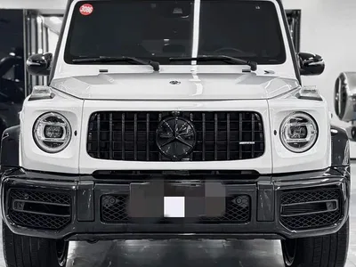 2019 Mercedes-Benz G-Class G 500, фото 2, лот 10255461