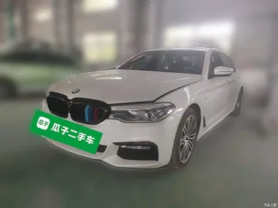 2018 BMW 5 Series Facelift 530Li Exclusive M Sport Package, фото 1, лот 11218345