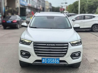 2020 Haval H6 1.5GDIT Automatic Platinum Champion Edition, фото 2, лот 10281558