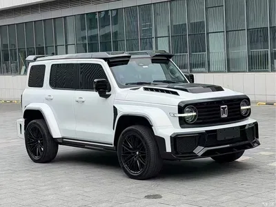 2021 Tank 300 Urban Edition 2.0T Stylish, фото 3, лот 10345065