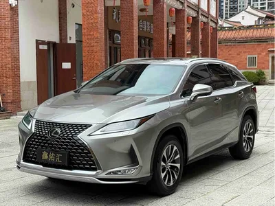 2020 Lexus RX Facelift 300 2WD Comfort Edition, фото 3, лот 10318556
