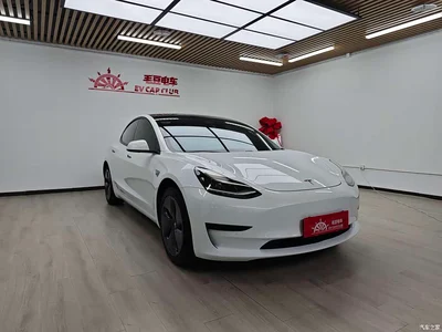 2020 Tesla Model 3 Standard Range Rear-Wheel Drive Upgrade, фото 2, лот 10346212