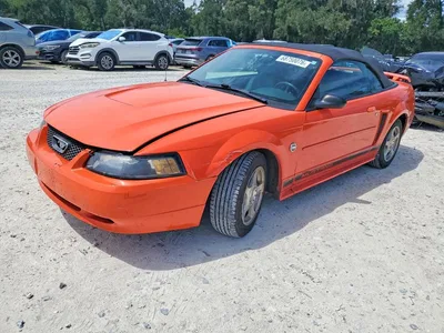 2004 FORD MUSTANG, фото 1, лот 10981823