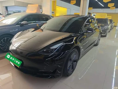 2021 Tesla Model 3 Standard Range Rear-Wheel Drive Upgrade, фото 2, лот 10370102