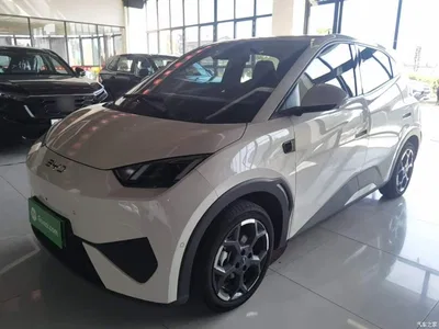 2025 BYD Seagull Smart Drive Edition 305km Freedom Version, фото 2, лот 10259896
