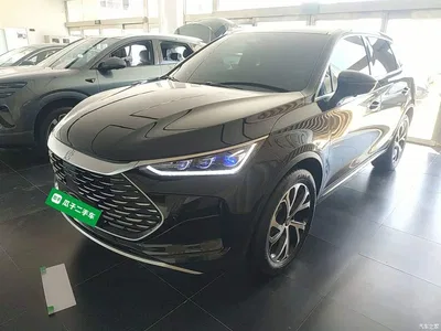 2025 BYD Tang New Energy DM-i 115KM Prestige Type, фото 1, лот 10272454