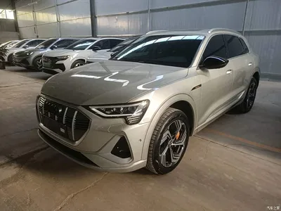 2021 Audi e-tron 50 quattro Exclusive Selection, фото 1, лот 11468524