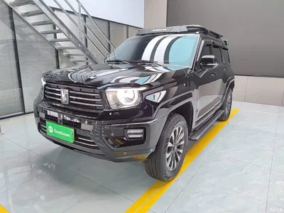 2024 Tank 700 New Energy Hi4-T Ultimate Edition, фото 1, лот 10451407