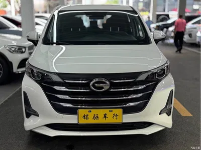 2019 GAC Trumpchi Trumpchi M6 270T Automatic Premium Edition (7-Seater) China V, фото 2, лот 10416750