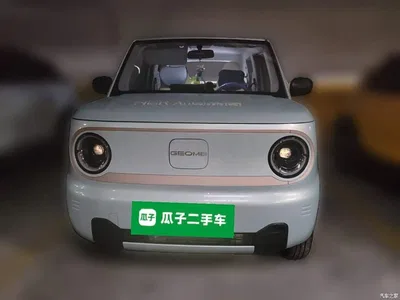 2023 Geely Galaxy Panda Mini 200km Endurance Bear, фото 2, лот 11545639