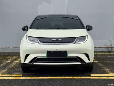 2025 Byd Dolphin, фото 2, лот 10246764