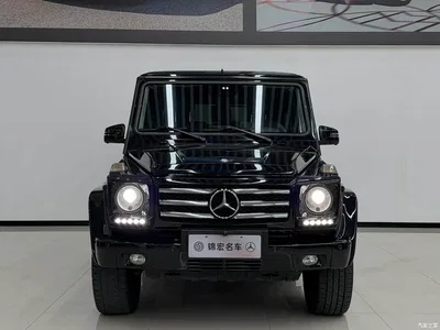 2015 Mercedes-Benz G-Class G 500 Heavy Duty Edition, фото 2, лот 10281041