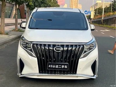 2021 GAC Trumpchi Trumpchi M8 Leading Show Series 390T Prestige Edition, фото 3, лот 10415497