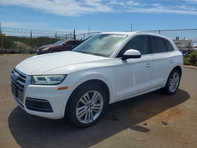 2019 AUDI Q5 PREMIUM PLUS, фото 1, лот 10637876
