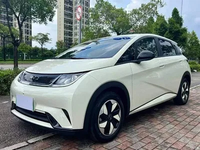 2025 BYD Dolphin 420km Freedom Edition, фото 1, лот 10812227