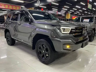 2023 Tank 400 New Energy Hi4-T Super Edition, фото 3, лот 10403319