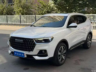 2023 Haval H6 National Trend Edition 1.5T Automatic Champion, фото 3, лот 10519729