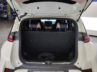 2025 BYD Seagull Smart Drive Edition 305km Freedom Version, фото 4, лот 10247073