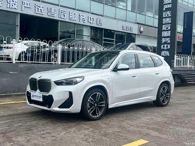 2023 BMW iX1 xDrive30L M Sport Package, фото 1, лот 10418875
