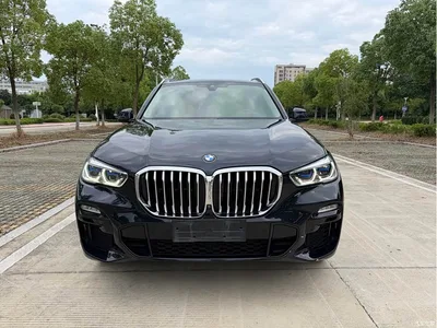 2020 BMW X5 (Import) xDrive40i M Sport Package, фото 2, лот 10241410