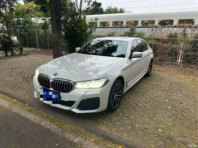 2022 BMW 5 Series 525Li M Sport Package, фото 1, лот 10671046
