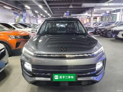 2021 Sehol E40X Model Golden Armor Edition, фото 3, лот 11168778