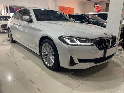 2021 BMW 5 Series New Energy 535Le Luxury Package, фото 3, лот 10474087