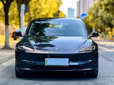 2025 Tesla Model 3 Model Rear-Wheel Drive Edition, фото 2, лот 10354900