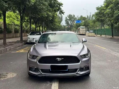 2015 Ford Mustang 2.3T Performance Edition, фото 1, лот 10295418
