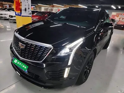 2020 Cadillac XT5 28T Luxury Model, фото 1, лот 10310087