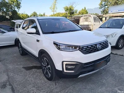 2018 Changan CS55 1.5T Automatic Blue Motion (China V), фото 4, лот 10254678