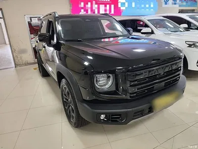 2024 Haval Big Dog 1.5T DCT Border Collie Edition, фото 4, лот 10388558