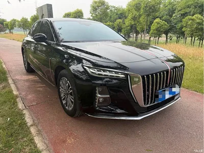 2025 Hongqi H5 1.5T DCT Qiyue 500,000 Units Commemorative Edition, фото 3, лот 10361026