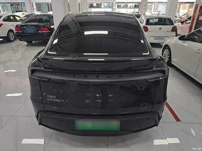 2025 Tesla Model Y Rear-Wheel Drive, фото 4, лот 11142042